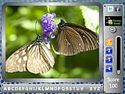 Play Butterfly Find the Alphabets free online game; hidden object game with butterflies and alphabet letters
