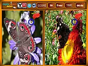 Butterfly Similarities Game screenshot, two images side-by-side with a butterfly and flowers, player searching for matching objects, play free online puzzle game