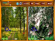 Screenshot of Forest Similarities online game showing two side-by-side forest images where players must find matching objects