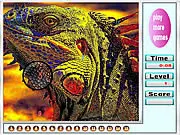 Wild Colorful Iguanas Hidden Numbers game screenshot showing a large, brightly colored iguana with several small numbers cleverly concealed on its body and the rocks.