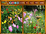 Play Flower Similarities Game free online, a visual puzzle where you find identical objects in two different floral pictures