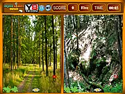 Forest Similarities Game free online hidden object puzzle on PlayArcadeHub