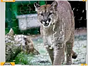 Play Big Cats Puzzle game online featuring a Lion, Tiger, and Leopard, free wild animal jigsaw puzzle