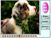Fabulous Animals Hidden Numbers game screenshot featuring an exotic animal picture with numbers camouflaged in the background