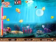 Play Match the Fish Pairs free online memory game, finding matching pairs of colorful aquatic animals on PlayArcadeHub.