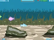 Screenshot of A Little Shark online game showing a small cartoon shark swimming in a blue ocean with various colorful fish surrounding it