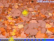 Hidden Insects online game screenshot, finding tiny hidden bugs in a nature picture, free object finding game on PlayArcadeHub