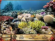 Secrets of the Deep free online game, underwater hidden object game, finding forgotten treasure on a coral reef