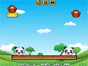 Fancy Pandas physics puzzle game screenshot with cute pandas and environmental objects, play free online on PlayArcadeHub