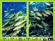 Underwater Similarities game screen showing various fish, coral, and matching objects hidden on the ocean floor