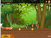 Forest Run game online, free endless runner game, cute fox jumping over obstacles, collecting acorns high score game