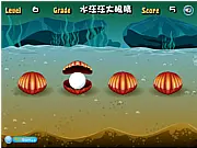 Play Penetrating Insight free online shell game. Find the pearl and test your vision and focus.