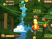 Racoon Jumping free online game, help the raccoon climb the tall forest tree, PlayArcadeHub arcade game
