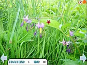 Hidden Stars Summer free online hidden object puzzle game