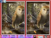 10 Differences - Legend of the Guardians game screen showing two identical pictures side-by-side, challenging the player to find differences in the fantasy owl-themed artwork. Play free online puzzle game.