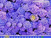 Playing Hidden Stars Flowers free online hidden object puzzle game