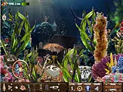 Play Hidden Treasures Of The Sea free online game, find hidden objects, underwater treasure hunt
