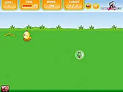Chick Vs Snake free online skills game screenshot showing a little yellow chick trying to catch a worm while avoiding a green snake