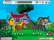 Play Horse Kissing online game free, horse affection stealth challenge, free horse games