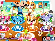 Pet Shop Hidden Letters free online game, find alphabet letters in pet shop, hidden object puzzle game, improve observation skills