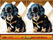 Screenshot from Differences in Puppy Land game, showing two nearly identical cartoon pictures of puppies playing in a garden, highlighted for players to find the five differences.