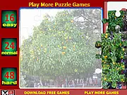 Free online jigsaw puzzle game Orange Tree Jigsaw Puzzle featuring a beautiful landscape, with difficulty modes of 16, 24, and 48 pieces.