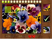 Play Parts of Picture Flowers free online game - find 3 missing parts in a floral picture puzzle