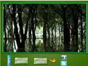 Puzzle Craze Dark Forest game screenshot showing a grid of scrambled pieces of a mysterious forest image, free online puzzle game