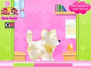 Royal Pets Grooming online game screenshot, play free pet care and animal washing game, pet simulation on PlayArcadeHub