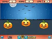 The Halloween-themed scene with pumpkins and objects for the hidden object game Halloween Hide and Seek