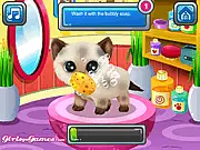 Key art for Paws to Beauty 3 Online showing a collection of smiling, clean, and well-groomed cartoon pets like a dog and a cat.