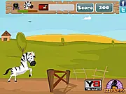 Racing Zebra free online jumping game - Zebra running and jumping over obstacles on the racetrack.