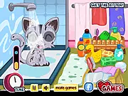 Play Cute Care Kitten free online game, bathing and grooming a kitten, dressing up a pet, fun animal care game