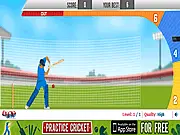 Practice Cricket free online game for batting practice in the nets, preparing for the World Cup