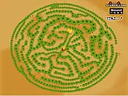 The main screen for the online puzzle game Maze Game: Find The Chicken, showing a hen and chick separated by a complex labyrinth.