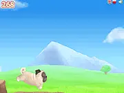 Pug The Dog free online endless runner game, jumping barriers with space bar and cursor on PlayArcadeHub