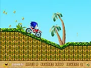 Play Sonic Ride free online driving game with Sonic the Hedgehog on PlayArcadeHub