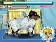 Play My Cute Puppy: Pet Grooming Online Game, Wash and Dress Up a Dog for Free