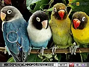 Hidden Alphabets Parrots free online point and click game screenshot showing a colorful parrot with hidden letters overlaid
