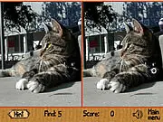 Nyann Difference free online spot the difference game with cats puzzle PlayArcadeHub