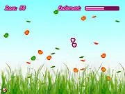 Bubble Flies free online matching and timing game