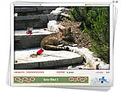 Hidden Mouse free online game, find the mouse hidden object puzzle, fast-paced clicker game, PlayArcadeHub