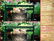 Screenshot of Cute Kittens Differences game showing two side-by-side pictures of adorable kittens with circles highlighting the spotted differences