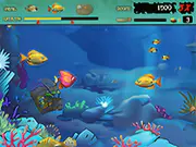 The classic arcade game Feeding Frenzy, showing a blue tuna fish eating smaller colorful fish in a vibrant ocean environment.