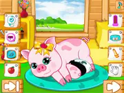Pregnant Pig New Babies free online animal caring and delivery simulation game on PlayArcadeHub