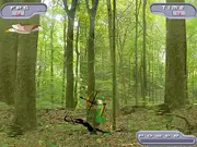 Hunter in a forest aiming a bow and arrow at a flying eagle in the free online archery game Animal Hunter