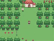 Woodland Adventure free online game with Oony the raccoon collecting items in the forest