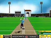 Cricket Master free online World Cup sports competition game PlayArcadeHub