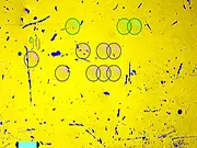 Bubbles Shooting Mania online game screenshot showing a paddle bouncing a ball toward a cluster of colorful, popping bubbles, with a power-up dropping down.