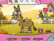 Me and My Donkey online game – care and nurture your donkey for free